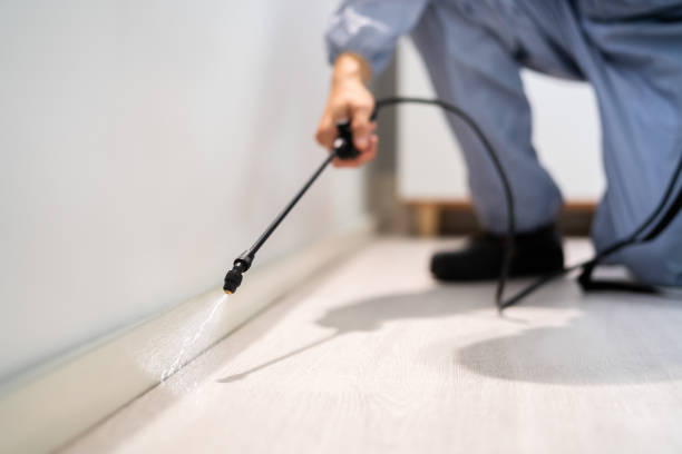 Bed Bug Pre-Treatment Preparation Assessment in Kendall Park