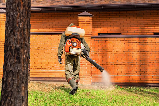 Bed Bug Clearance Verification and Documentation in Kendall Park